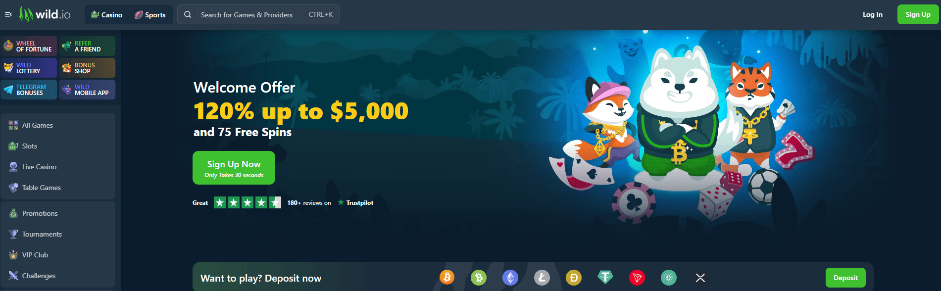 Wild.io Bitcoin casino.